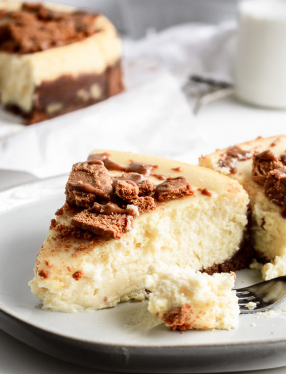 Cookie Butter Ricotta Cheesecake Buckets of Yum