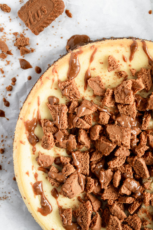 Overhead shot of cookie butter cheesecake with cookie crumbs