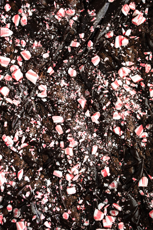 Close up of brownies with drizzled chocolate and crushed peppermint candies