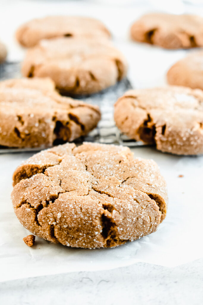 Sugar crystals on a ginger molasses cookie